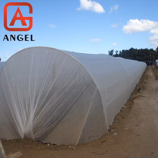 Materiale di copertura vegetale PP Spunbond Tessuto non tessuto da 20 g per copertura agricola